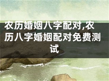 农历婚姻八字配对,农历八字婚姻配对免费测试