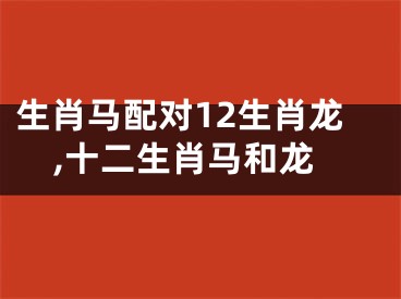 生肖马配对12生肖龙,十二生肖马和龙