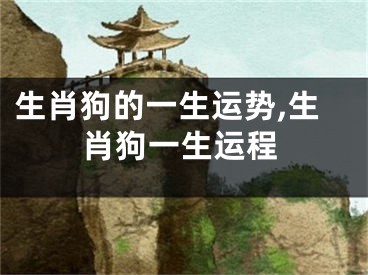 生肖狗的一生运势,生肖狗一生运程