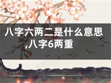 八字六两二是什么意思,八字6两重