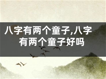 八字有两个童子,八字有两个童子好吗