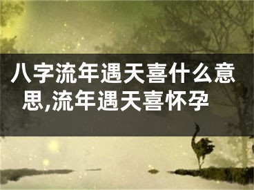 八字流年遇天喜什么意思,流年遇天喜怀孕