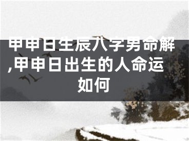 甲申日生辰八字男命解,甲申日出生的人命运如何