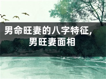 男命旺妻的八字特征,男旺妻面相