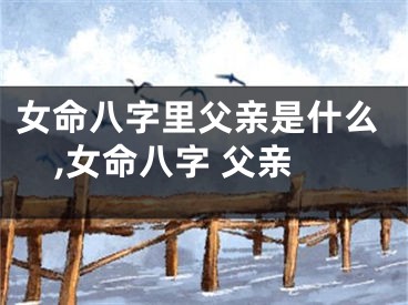 女命八字里父亲是什么,女命八字 父亲