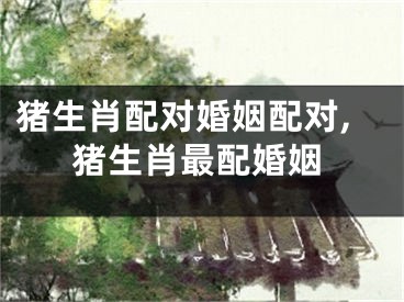 猪生肖配对婚姻配对,猪生肖最配婚姻