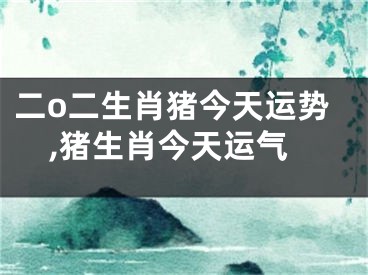 二o二生肖猪今天运势,猪生肖今天运气