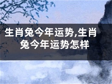生肖兔今年运势,生肖兔今年运势怎样