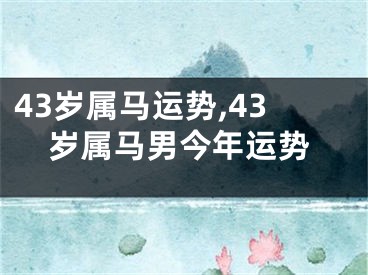 43岁属马运势,43岁属马男今年运势