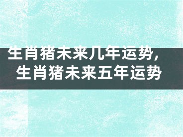 生肖猪未来几年运势,生肖猪未来五年运势