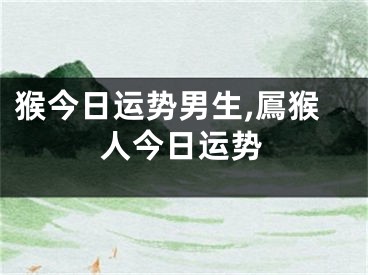 猴今日运势男生,䲩猴人今日运势