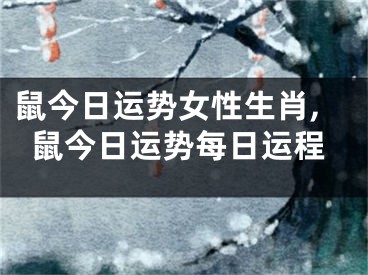 鼠今日运势女性生肖,鼠今日运势每日运程