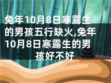 兔年10月8日寒露生的男孩五行缺火,兔年10月8日寒露生的男孩好不好