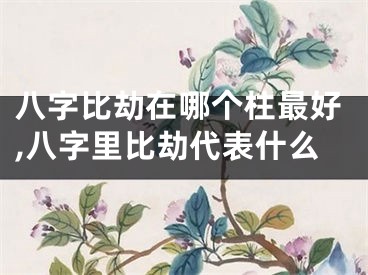 八字比劫在哪个柱最好,八字里比劫代表什么