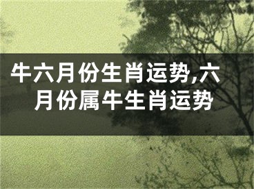 牛六月份生肖运势,六月份属牛生肖运势