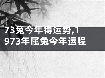 73兔今年得运势,1973年属兔今年运程