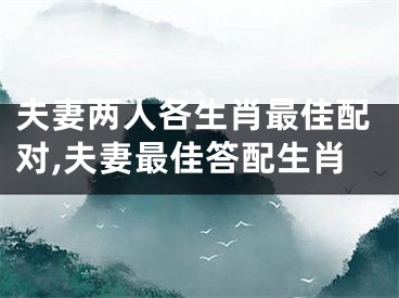 夫妻两人各生肖最佳配对,夫妻最佳答配生肖