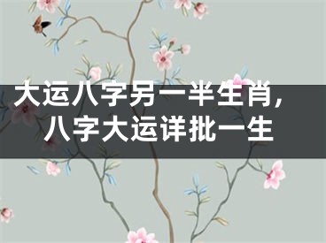大运八字另一半生肖,八字大运详批一生