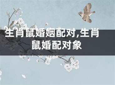 生肖鼠婚姻配对,生肖鼠婚配对象