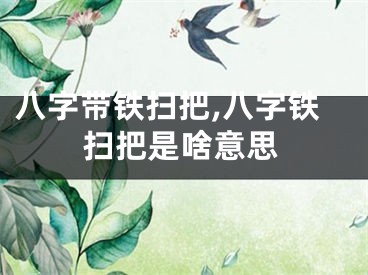 八字带铁扫把,八字铁扫把是啥意思