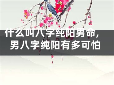 什么叫八字纯阳男命,男八字纯阳有多可怕