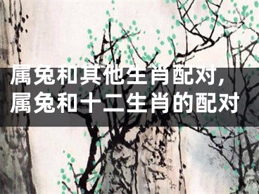属兔和其他生肖配对,属兔和十二生肖的配对