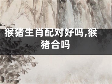 猴猪生肖配对好吗,猴猪合吗