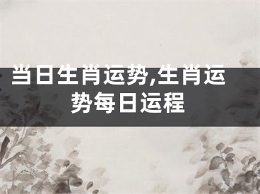 当日生肖运势,生肖运势每日运程