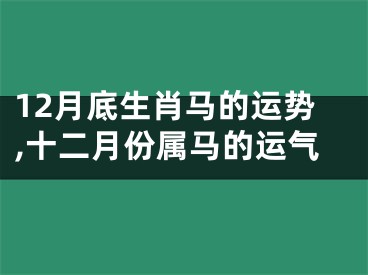 12月底生肖马的运势,十二月份属马的运气