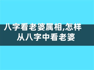 八字看老婆属相,怎样从八字中看老婆