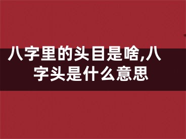 八字里的头目是啥,八字头是什么意思