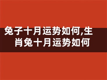 兔子十月运势如何,生肖兔十月运势如何