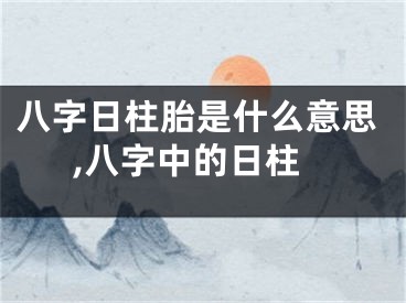 八字日柱胎是什么意思,八字中的日柱