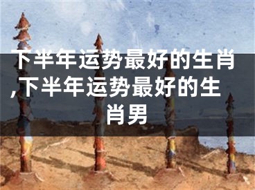 下半年运势最好的生肖,下半年运势最好的生肖男