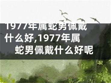 1977年属蛇男佩戴什么好,1977年属蛇男佩戴什么好呢