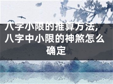 八字小限的推算方法,八字中小限的神煞怎么确定