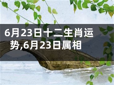 6月23日十二生肖运势,6月23日属相