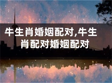 牛生肖婚姻配对,牛生肖配对婚姻配对
