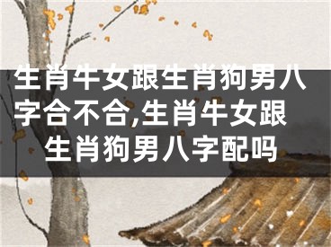 生肖牛女跟生肖狗男八字合不合,生肖牛女跟生肖狗男八字配吗