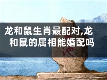 龙和鼠生肖最配对,龙和鼠的属相能婚配吗