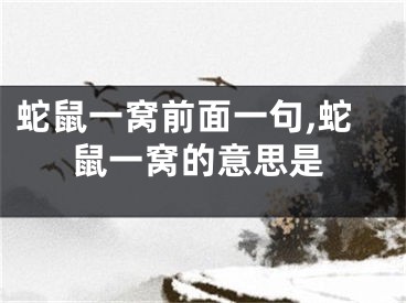蛇鼠一窝前面一句,蛇鼠一窝的意思是