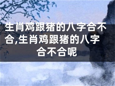 生肖鸡跟猪的八字合不合,生肖鸡跟猪的八字合不合呢