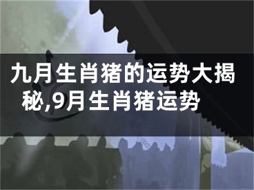 九月生肖猪的运势大揭秘,9月生肖猪运势