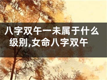 八字双午一未属于什么级别,女命八字双午