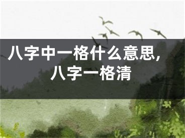 八字中一格什么意思,八字一格清