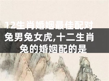 12生肖婚姻最佳配对兔男兔女虎,十二生肖兔的婚姻配的是
