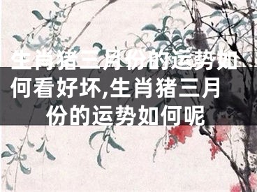 生肖猪三月份的运势如何看好坏,生肖猪三月份的运势如何呢