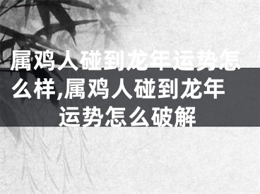 属鸡人碰到龙年运势怎么样,属鸡人碰到龙年运势怎么破解