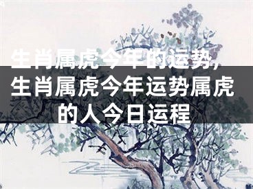 生肖属虎今年的运势,生肖属虎今年运势属虎的人今日运程