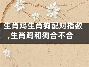 生肖鸡生肖狗配对指数,生肖鸡和狗合不合